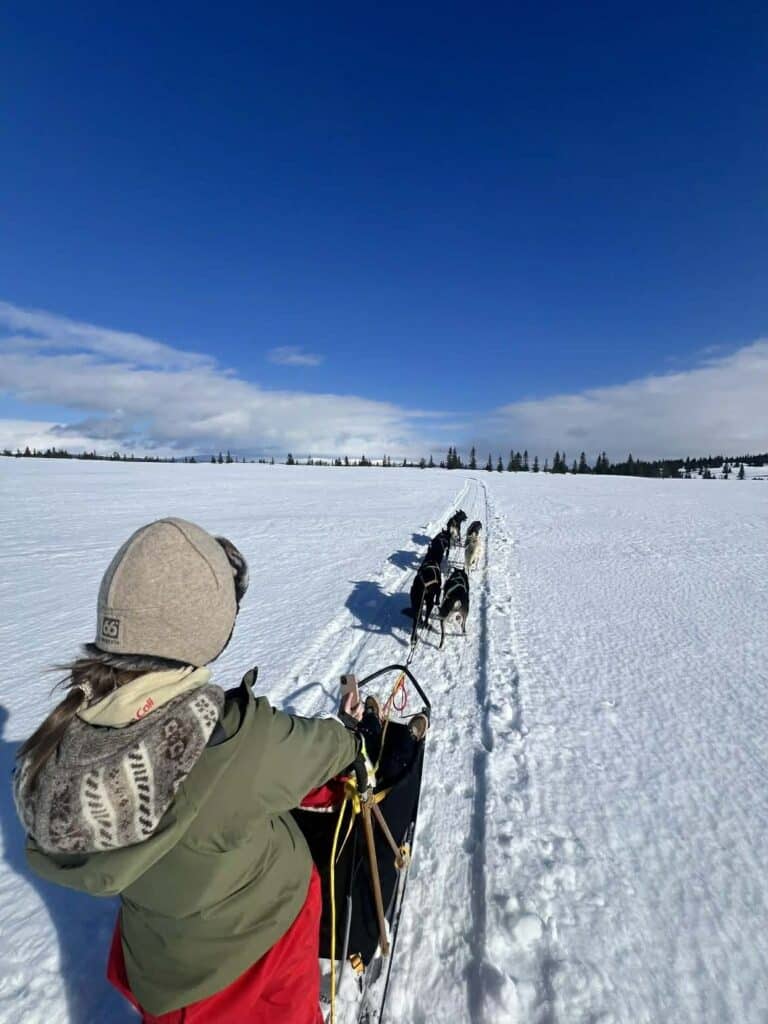 168f4fbc-4437-4cb7-9f53-0d7425f2515c En person kjører hundeslede gjennom et snødekt landskap under en klarblå himmel, med et hundespann som trekker sleden langs en smal sti.