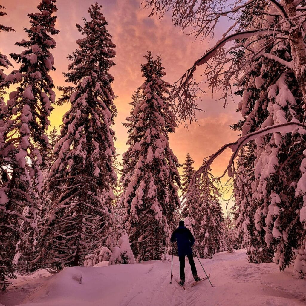 419730659_965903758434886_5178892285428117614_n-e1730446960212 En person står på ski langs en snødekt løype gjennom en skog av snødekte trær under en fargerik solnedgangshimmel.