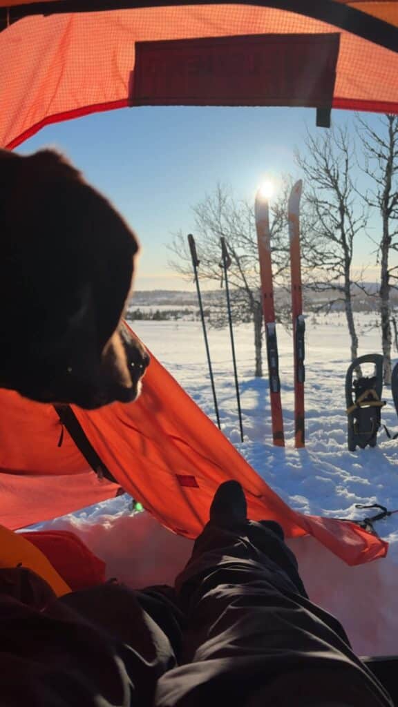 911307b2-7464-46ba-9000-d2a9f9fc53fb Utsikt fra innsiden av et rødt telt som viser en hund, en persons ben, et snødekt landskap, skistaver og ski som står oppreist ute i solen.